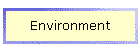 Environment